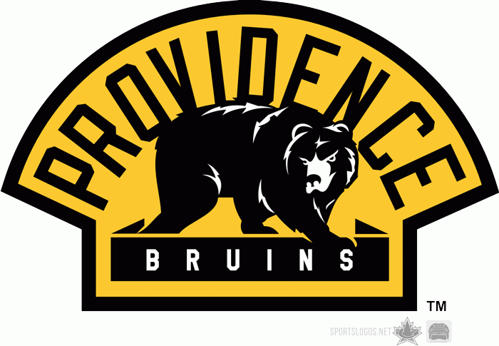 Providence Bruins 2010 11-Pres Alternate Logo iron on heat transfer